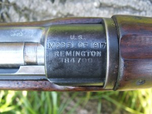 P17 Remington f389 006