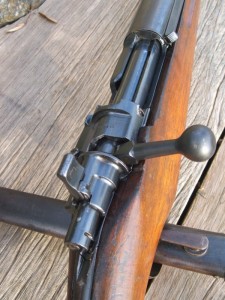 Siamese Mauser f364 018