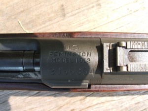 f399 03 Remington 004