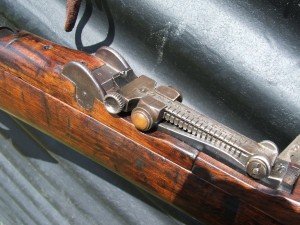 Early SMLE 005