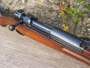 Siamese Mauser f364 002
