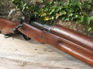 f 421  Remington P17 018