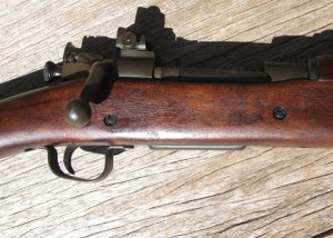 f 392 A3 Remington 024