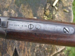 Long Rifle 018