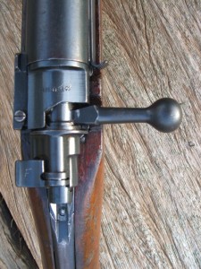 Siamese Mauser f364 006