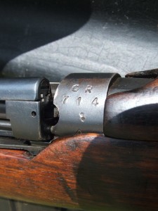 Early SMLE 008